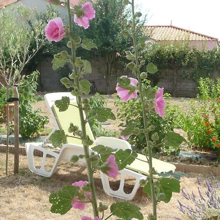 Chambre D'Hote Fleur De Potager Les Sables-dʼOlonne Екстериор снимка