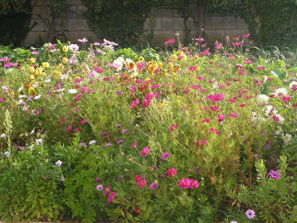 Chambre D'Hote Fleur De Potager Les Sables-dʼOlonne Екстериор снимка