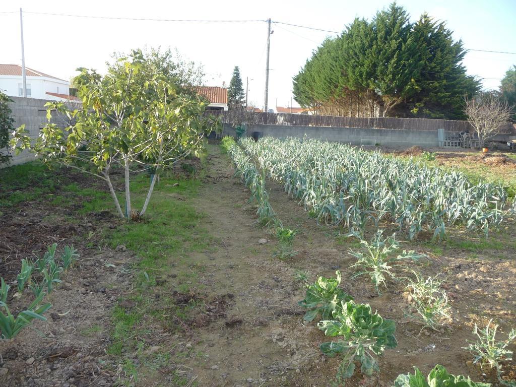 Chambre D'Hote Fleur De Potager Les Sables-dʼOlonne Екстериор снимка