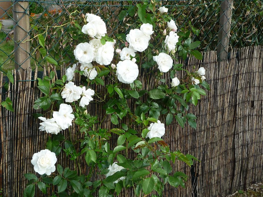 Chambre D'Hote Fleur De Potager Les Sables-dʼOlonne Екстериор снимка