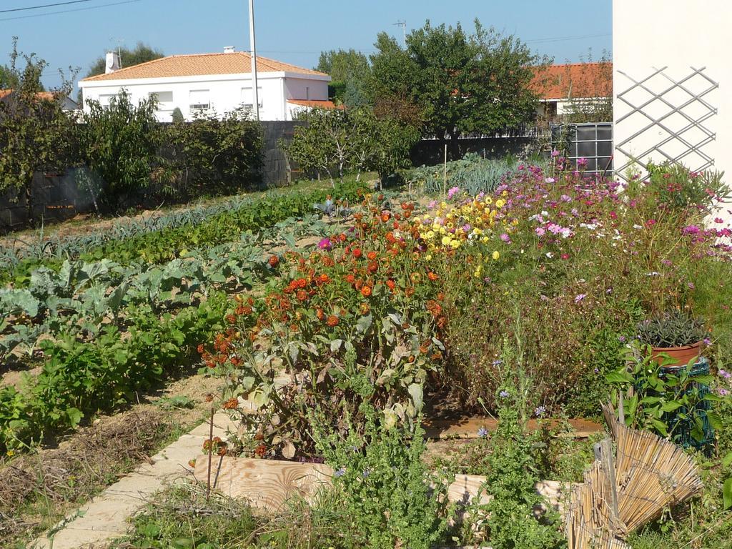 Chambre D'Hote Fleur De Potager Les Sables-dʼOlonne Екстериор снимка